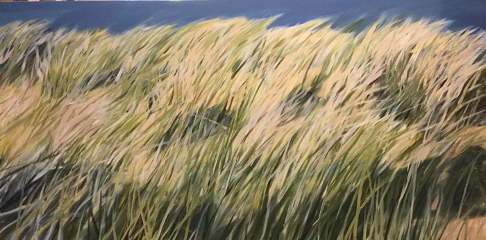 aug17-headly-openfield-700wi