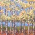 aug17-cronenwett-grove-700hi