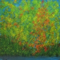 Jul19-schwartz-approachingautumn-700hi