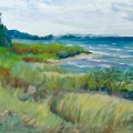 nov2013cronenwettbeach700wi