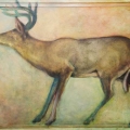 feb13-pappas-deer-700wi