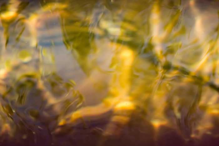 feb18-glaser-liquidlight-700wi