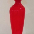 jan13-yerace-coral-600hi