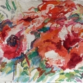 ju13-kaplan-redpoppy-700wi