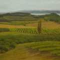 ju13-ventur-orchards-600wi