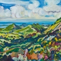 jul14-ruggierohillside700wi