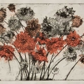 jun17-gotlib-falldahlias-700wi