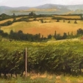 Jun19-venturelli-adayinumbria-700wi