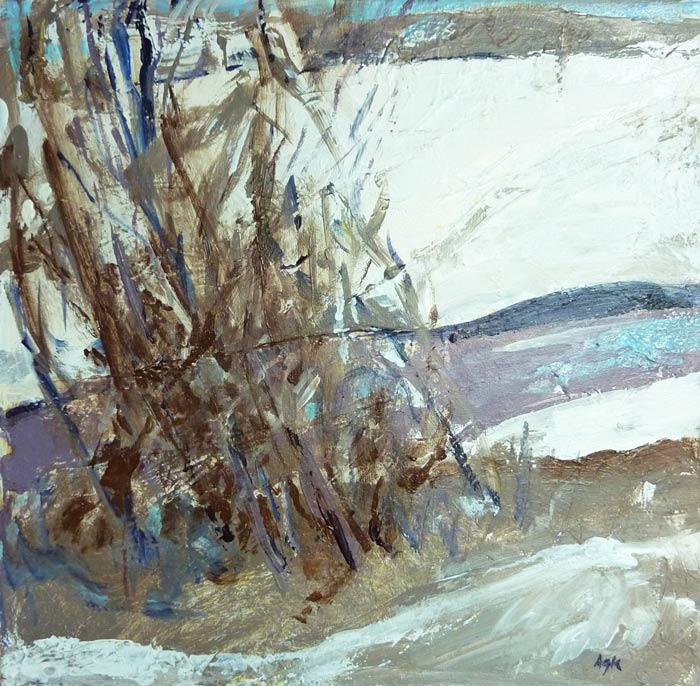 feb15-kaplan-winter-700wi