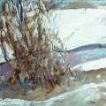 feb15-kaplan-winter-700wi