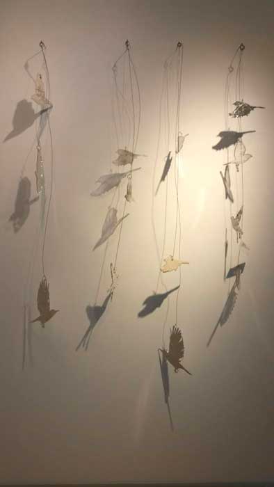 feb16-mann-bird-collection-700hi