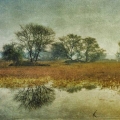 feb16-hauser-fortunateno-3-700wi