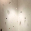feb16-mann-constellation-700hi