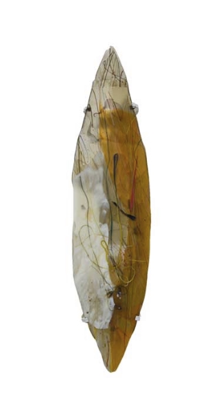 apr2013kelmancoral700hi