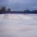 may13coronwinters700wi