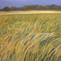 may17-headly-dunegrass-700wi