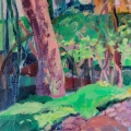 may17-kaplan-woods-700hi