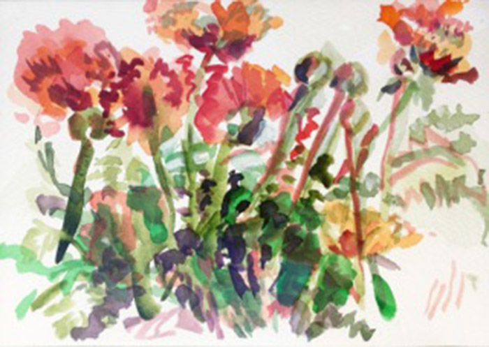 April30KaplanRedPoppies700wi