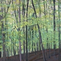 April30CoronSpringGreenSeries700wi