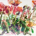 April30KaplanRedPoppies700wi