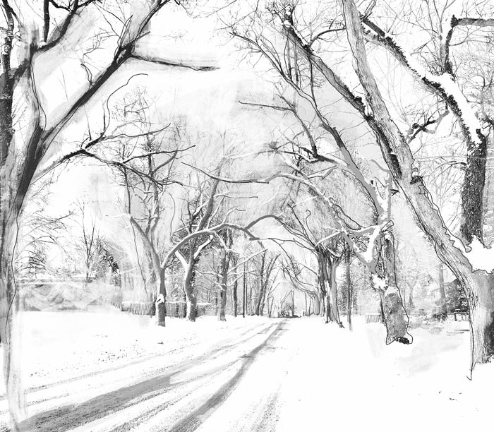 dec18-hegyi-winterwalkhome1-700wi