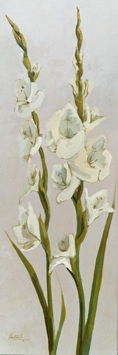 dec18-venturelli-gladiolas4-700hi