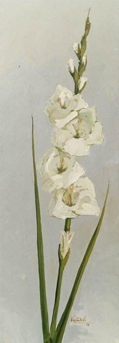 dec18-venturelli-gladiolas5-700hi