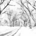 dec18-hegyi-winterwalkhome1-700wi