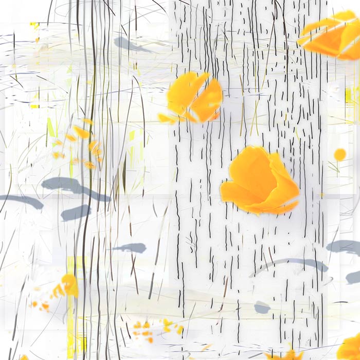 may16-hegyi-ofplacewest10-700wi