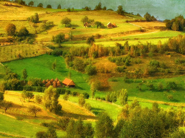 nov16-hauser-landscaspoetry-700wi