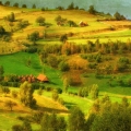 nov16-hauser-landscaspoetry-700wi