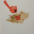 nov16-innes-cardinal-700hi