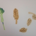 nov16-innes-morels-700wi