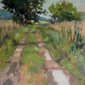 nov16-jwagner-afterrain-700hi