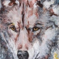 oct15-ramsay-wol-700hi
