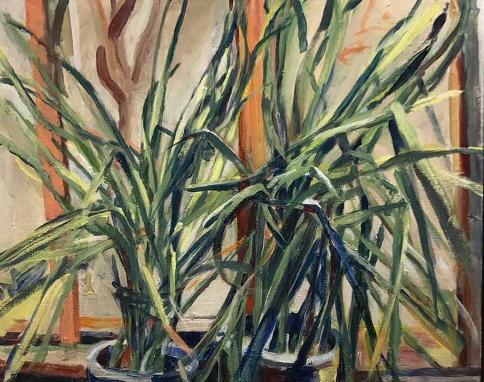 oct17-kaplan-paperwhites-700wi