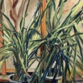 oct17-kaplan-paperwhites-700wi