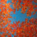 oct17-schwartz-crimson-700hi