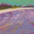 sep16-coron-grey-violet-field-study-700hi