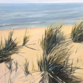 sep16-headly-summertimeno-1-700hi