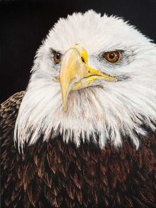 sep17-hanna-eagle_leslie-science-700hi