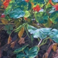 sep17-wagner-abundance-700hi