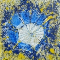 apr15-adlerstein-daisies-640hi