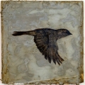 apr15-pappas-flight-700hi