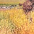 dec16-cronenwett-sept-small-700wi