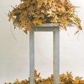 dec16-pappas-oak-700hi
