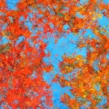 dec16-schwartz-autumn-700hi
