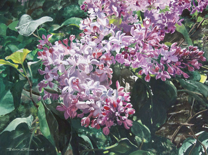 Dec16-bonnette-lilacs-700wi