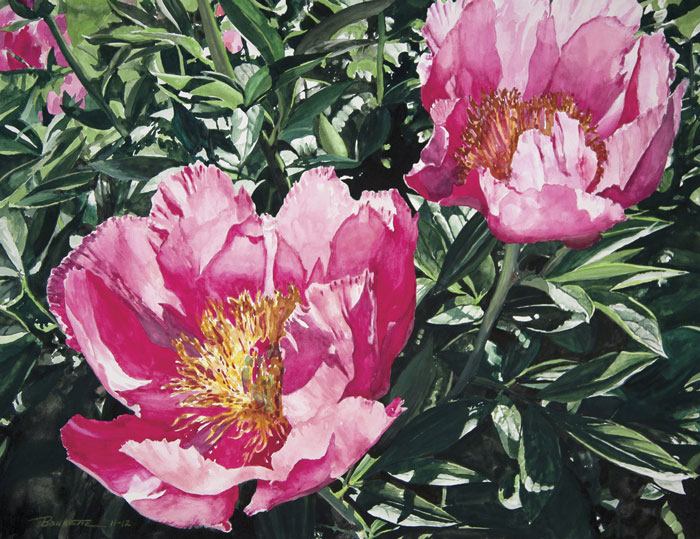 Dec16-bonnette-peonies-700wi