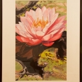 dec2012hoffmanpink-700hi